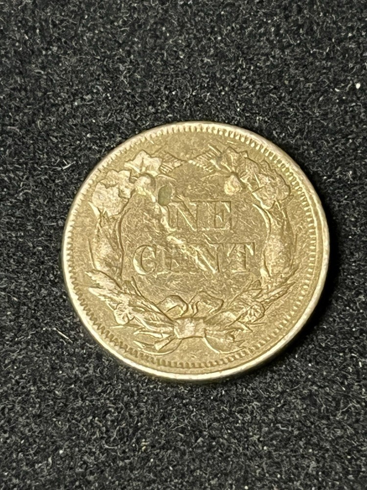 1858 flying eagle cent Xf Detail