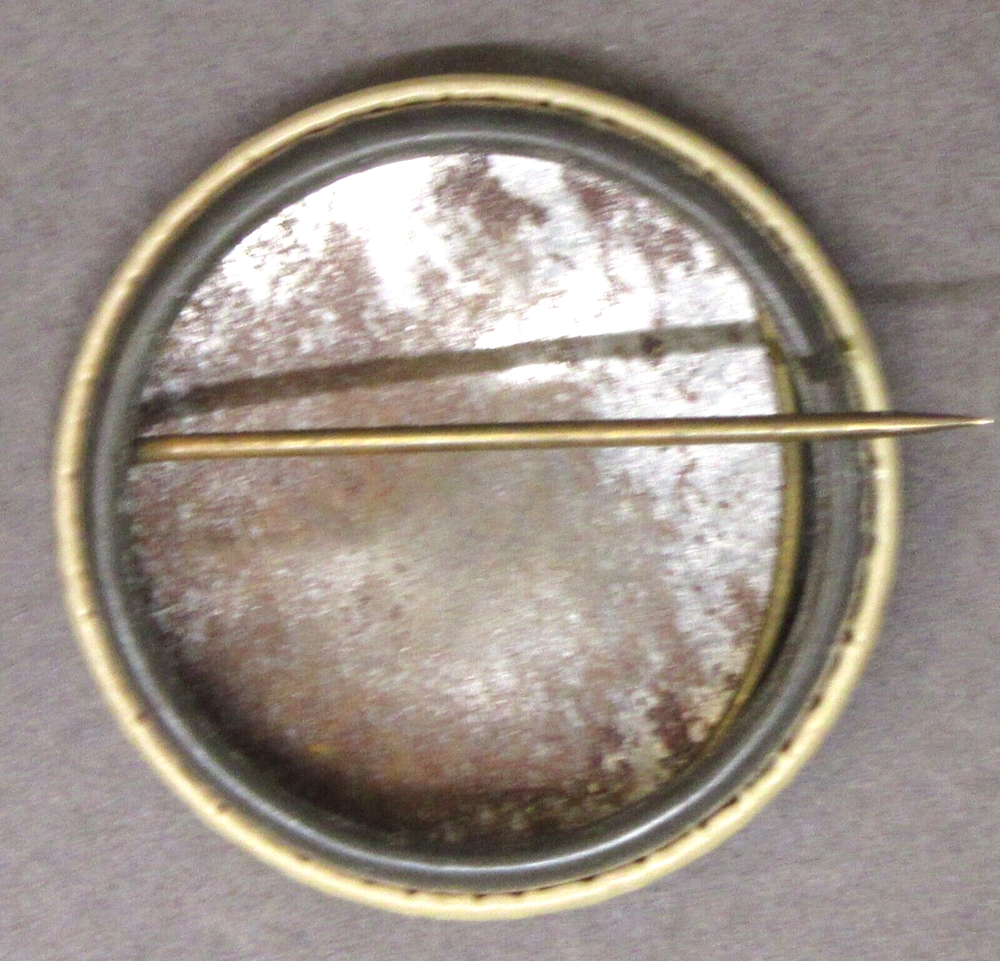 1930's BABE BUNTING Evening Ledger COLOR comic pinback button CRACKS fb
