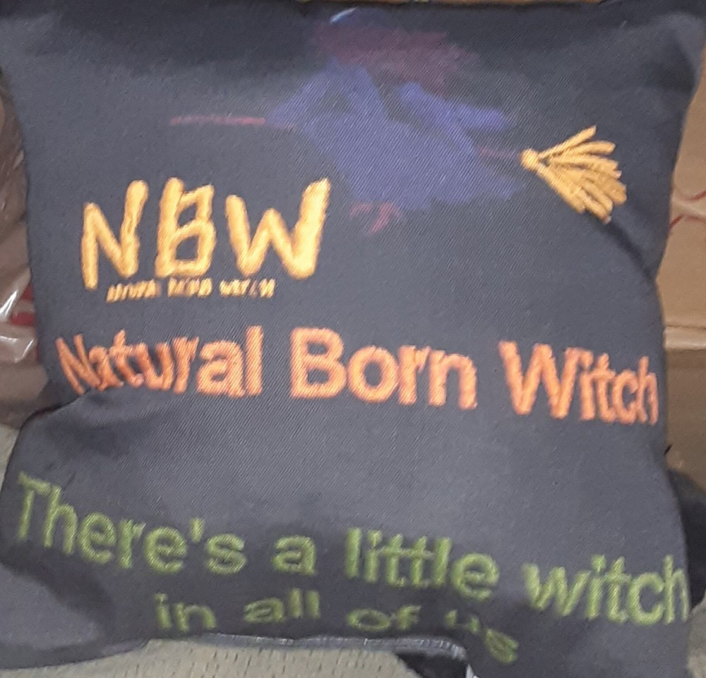 Haunted Witchcraft Magick Pillow