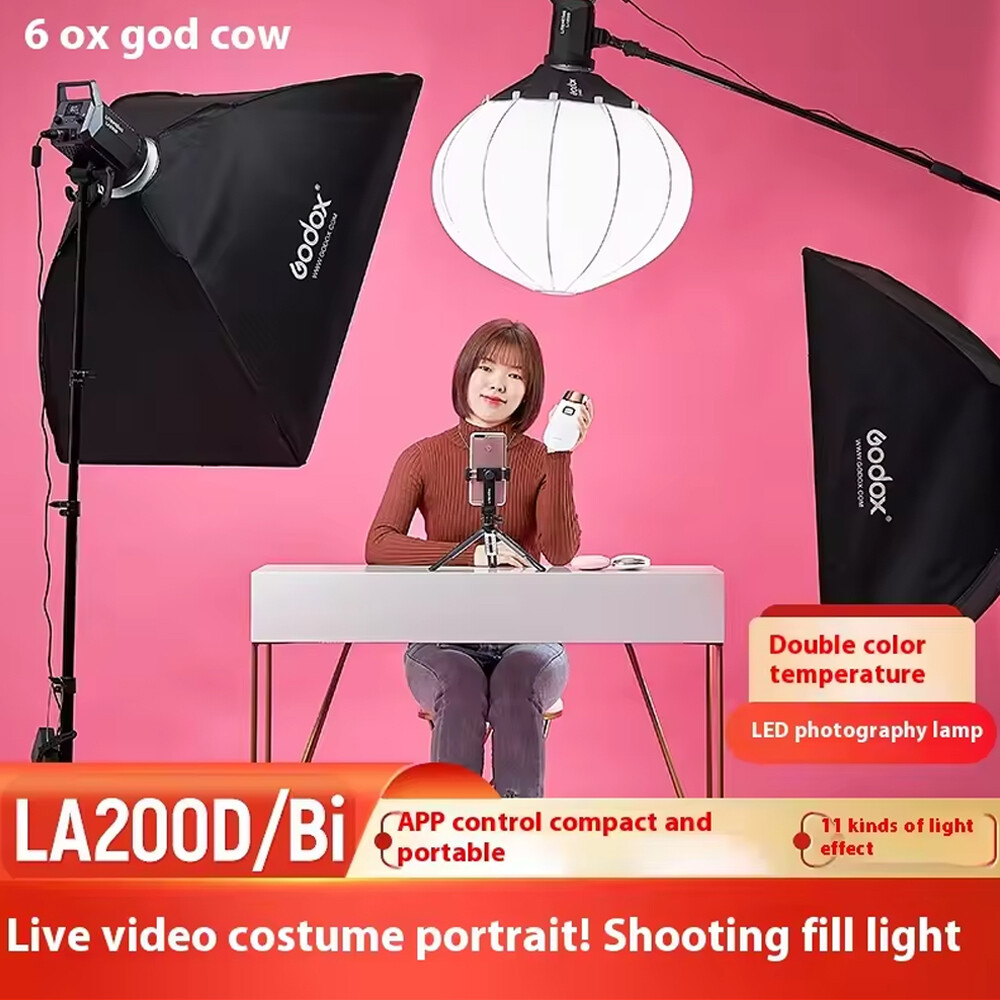 Godox Litemons LA200D 230W LED Video Light-Portable Studio LED Continuous Light