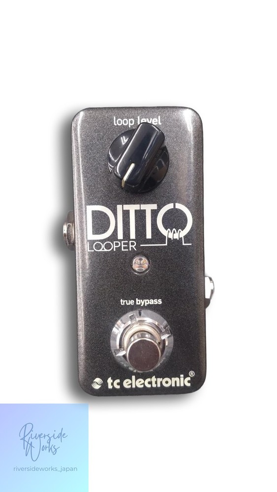 TC ELECTRONIC Other Effect Pedal DITTO LOOPER
