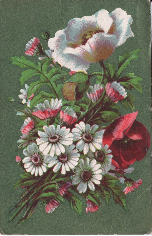 FLOWERS - PC1419