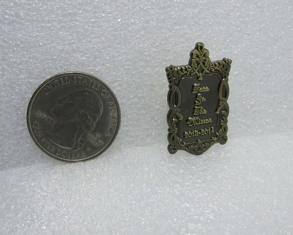 2013-14 Face In The Mirror Pin