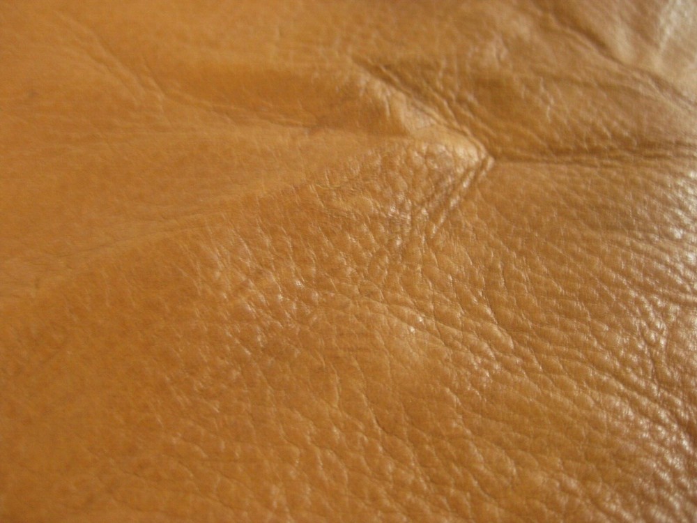Top Grain Deer Leather #0018095 Row V