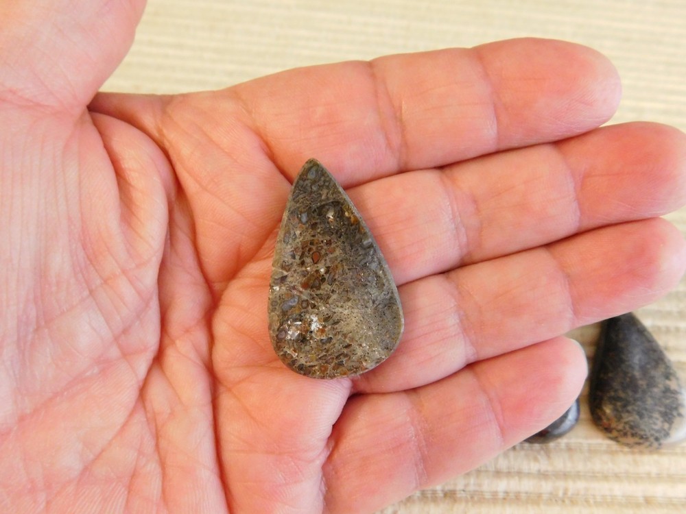 Dinosaur Bone Cabochons - 4 pcs