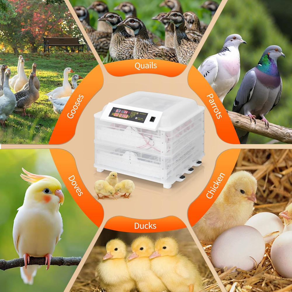 Incubators for Hatching Eggs, 96 Chicken Egg Incubator with Automatic Egg Turnin