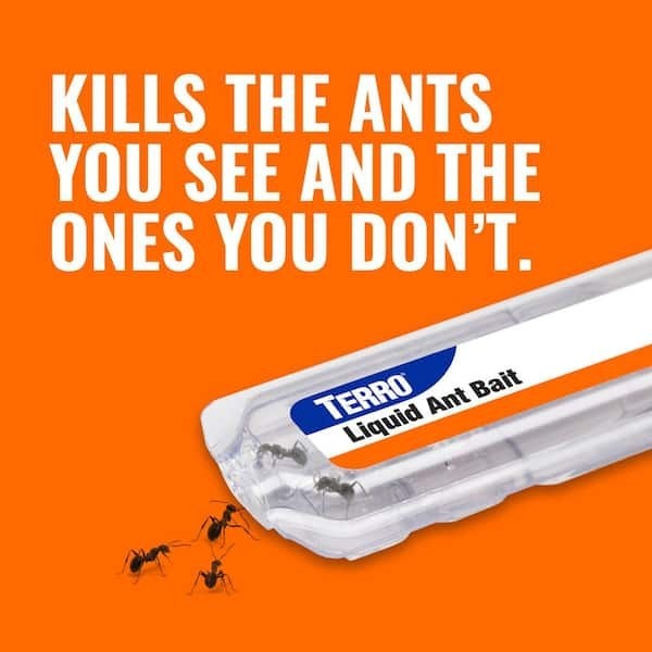TERRO Indoor Liquid Ant Killer Baits (6-Count)