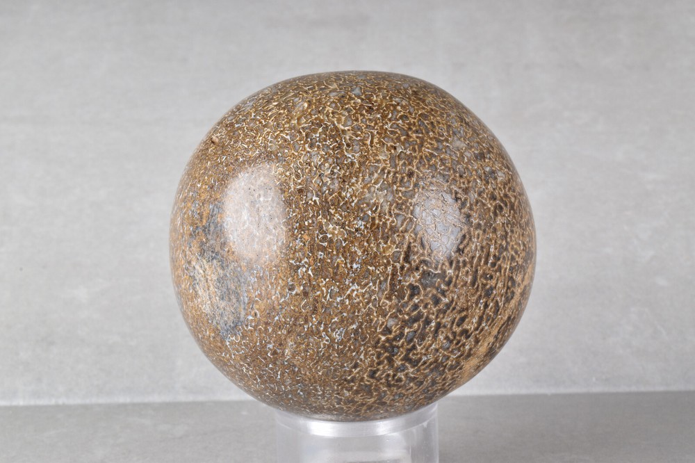 Dinosaur Bone Sphere from Morocco 6.8 cm # 21482
