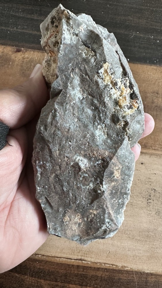 Opalized Petrified Wood For Display Specimen Rough Navada USA