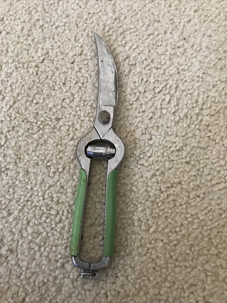 Vintage G.M. Thurnauer Poultry Shears