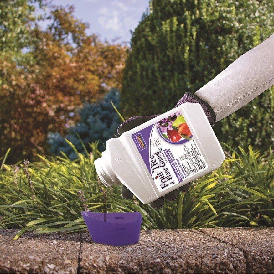 Bonide 2021 Fruit Tree & Plant Guard PT Conc Tree Shrub Insect Disease Control