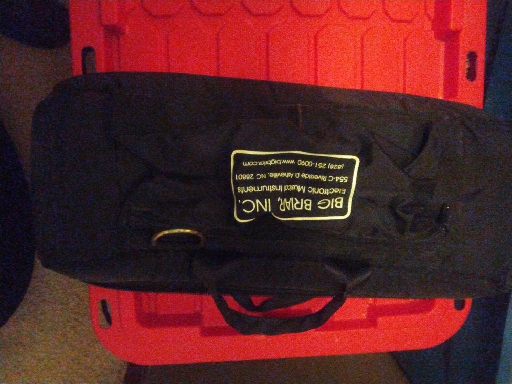 RARE Etherwave Theremin Complete Setup By Big Briar aka Moog