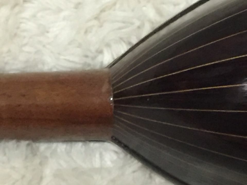 Early 1900's Victoria mandolin