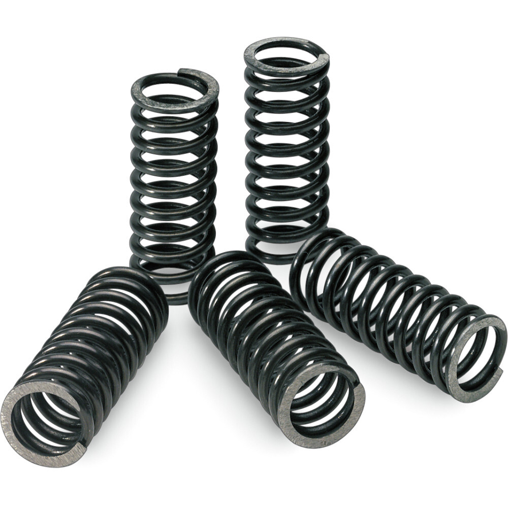 Pro Circuit Clutch Spring Set | CSK09450-CS