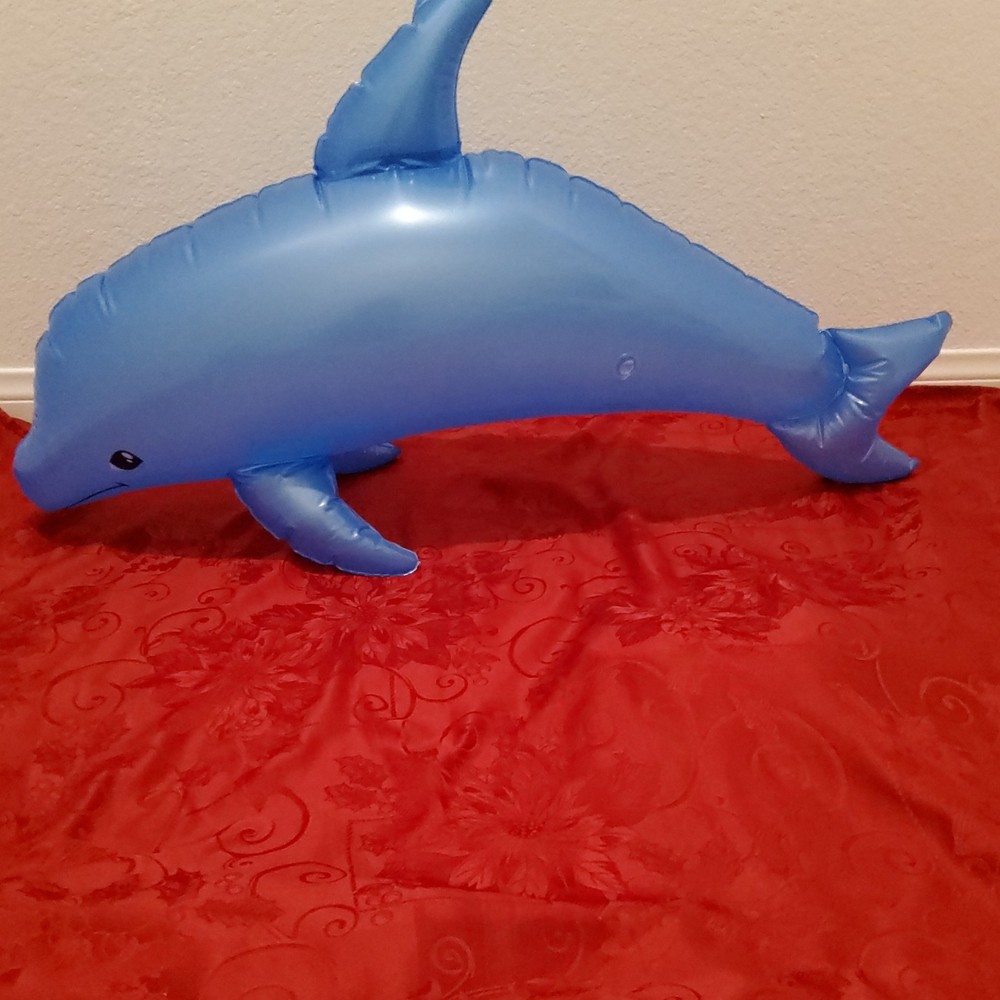 inflatable pool 🐬 dolphin