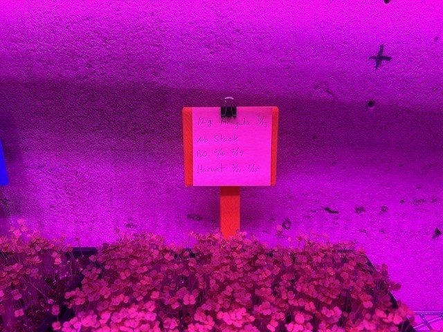 1020 Bootstrap Farmer Tray Signs