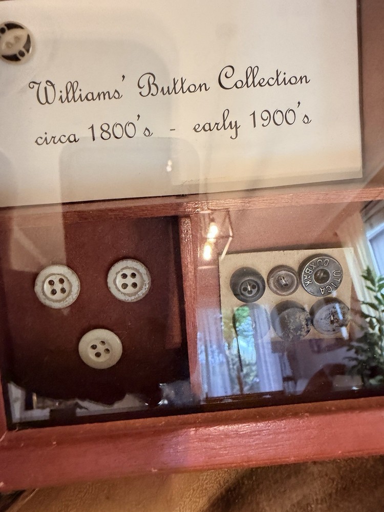 Williams Antique Original Button Collection Assorted Multicolor Round Pre-1930