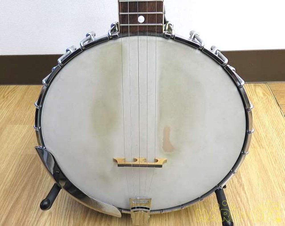 Fender Allegro 05412 Banjo