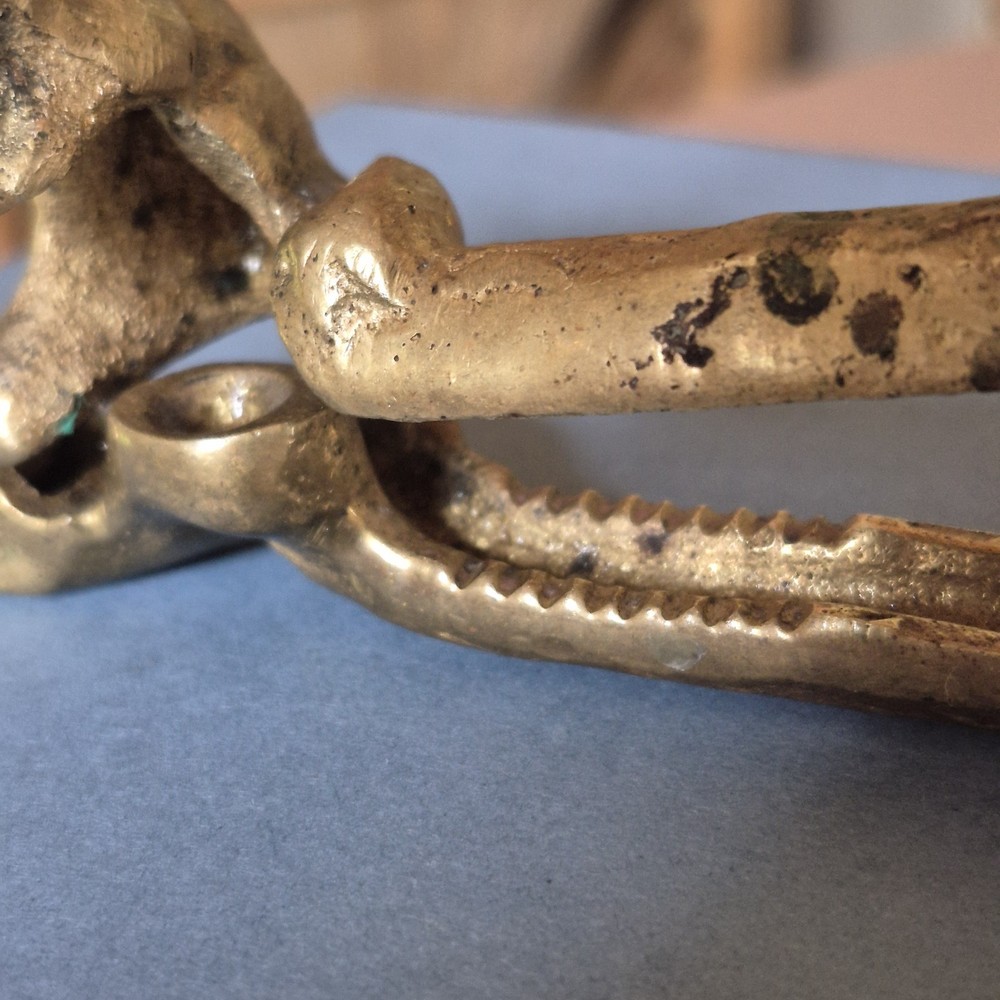 Vintage 5" SQUIRREL Golden SOLID BRASS Cast Iron Nut Cracker OLD Library Office