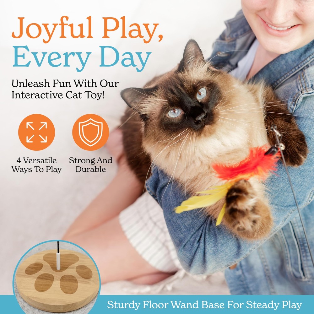 2 Cat Toy + 9 Feather Lures Interactive Cat Toys For Indoor Cats Interactive ...