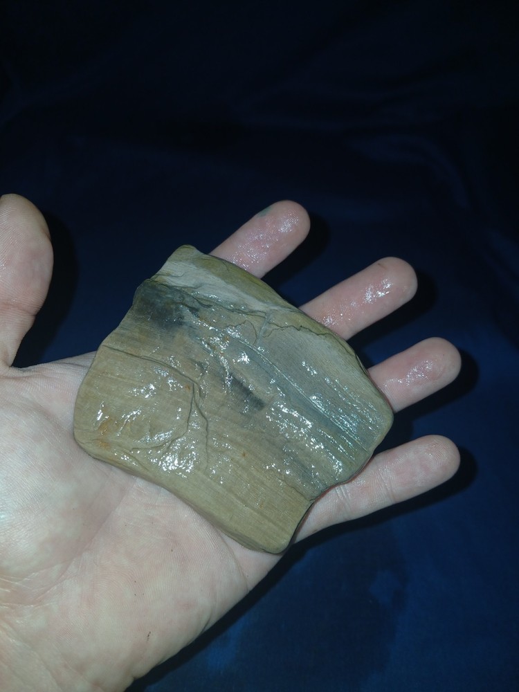 8 oz Texas Petrified Wood