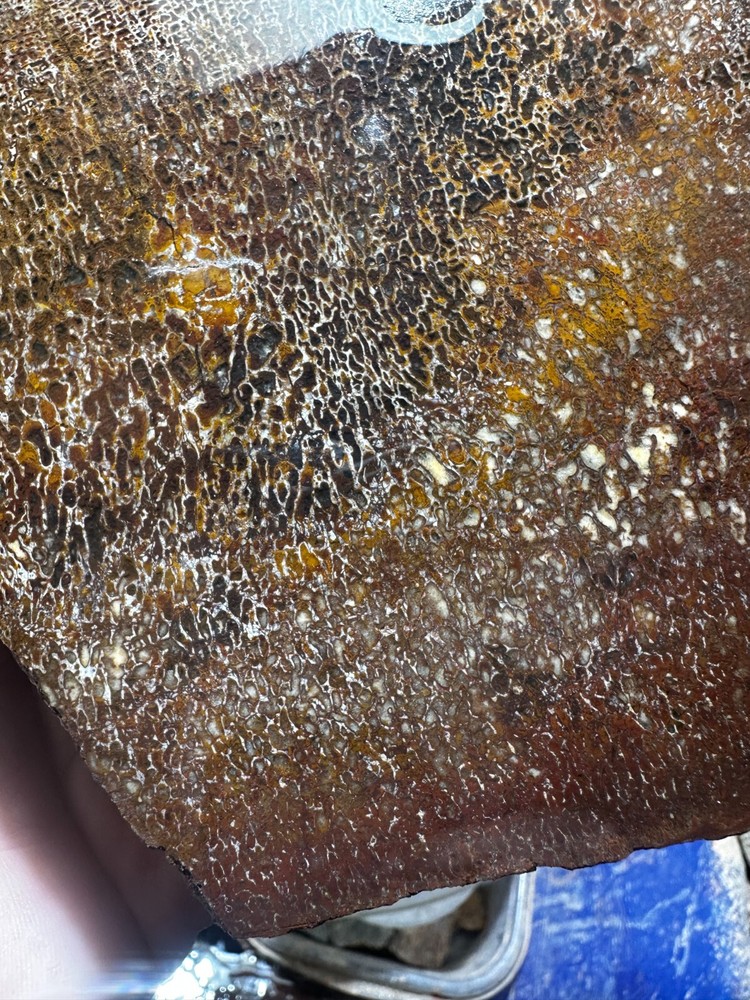 Dinosaur bone rough **hxtled slab.