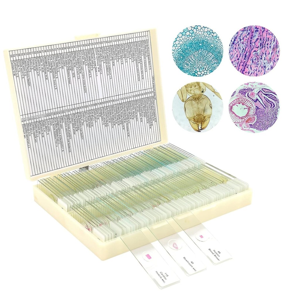 120 Microscope Slides with Specimens for Kids, Prepared Microscope Slides for Ki