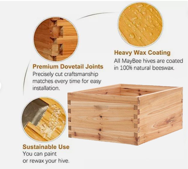 Bee Hive Langstroth Medium Beehive Kit 10 Frames Acrylic Bee
