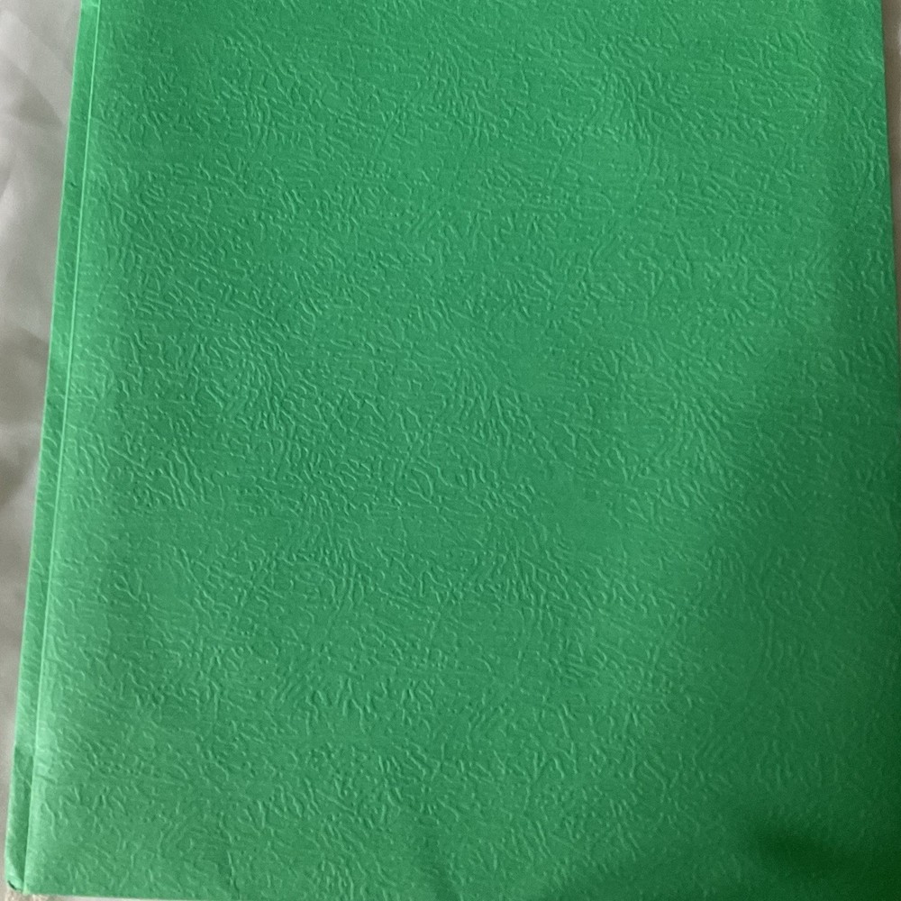 Blackwork Chart Instruction Booklet 21 Pages Charted Diagrams A Beginners Study