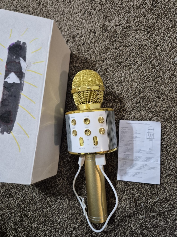 NEW CAMP INVENTION KARAOKE MICROPHONE