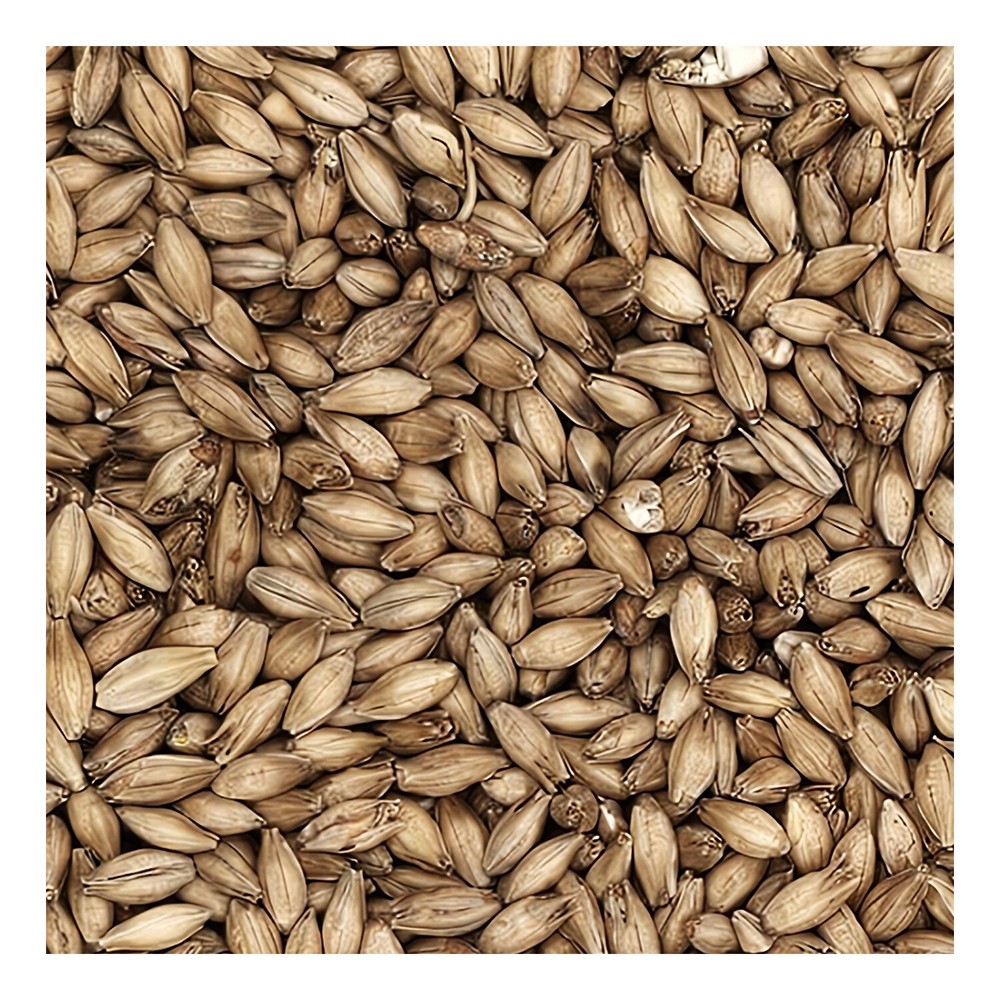 Home Brew Ohio Maris Otter Grain 1lb
