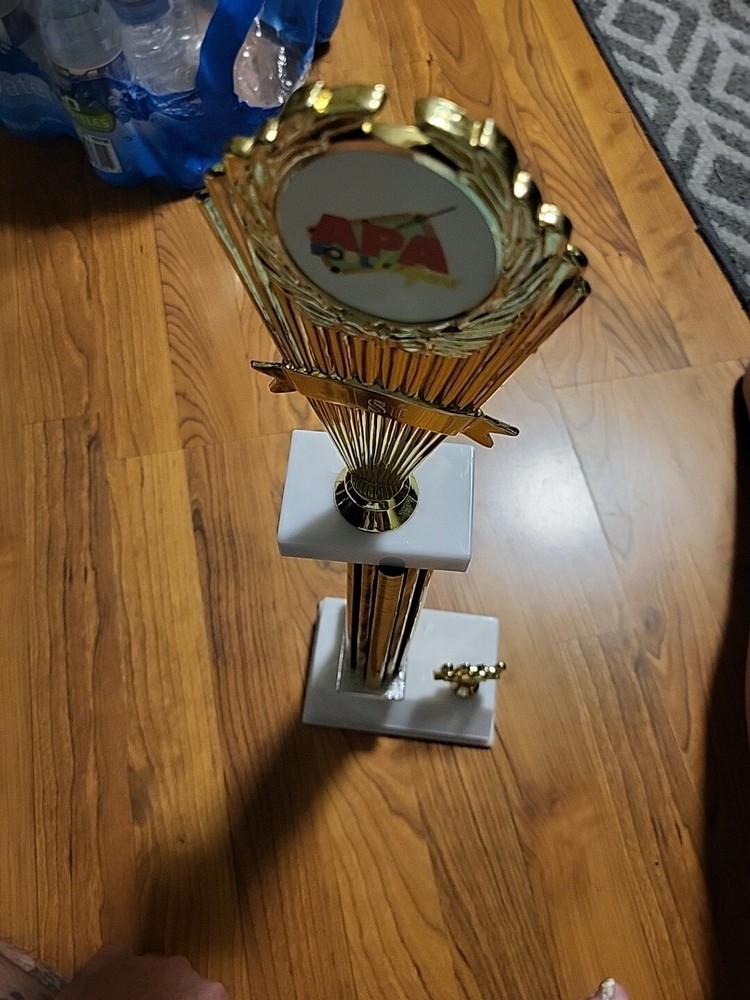 19" 2013 1st Place Trophy Billiards