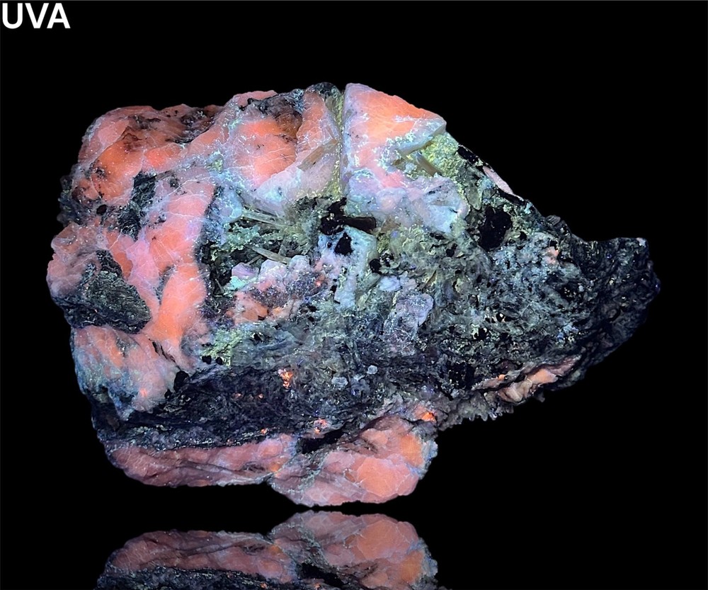 1086 Gr. Fluorescent Strong Persistent Phosphorescence Hackmanite W/ Richterite