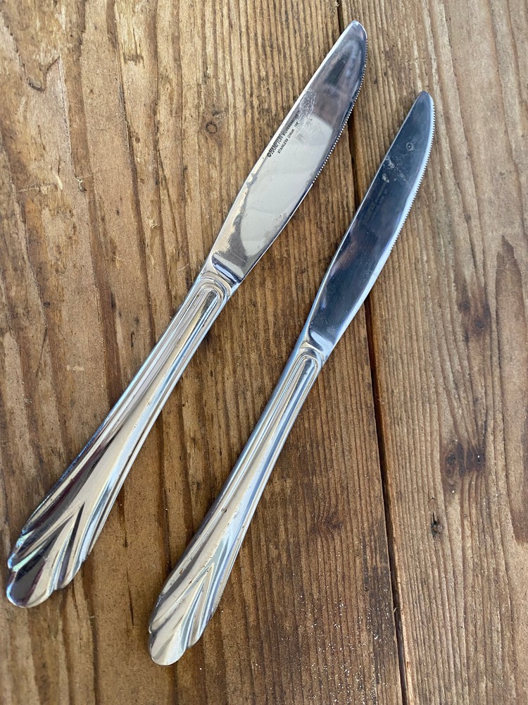 2 Modern Solid Dinner Knives Stainless Rose Hampton Silversmiths 199 8 3/4"