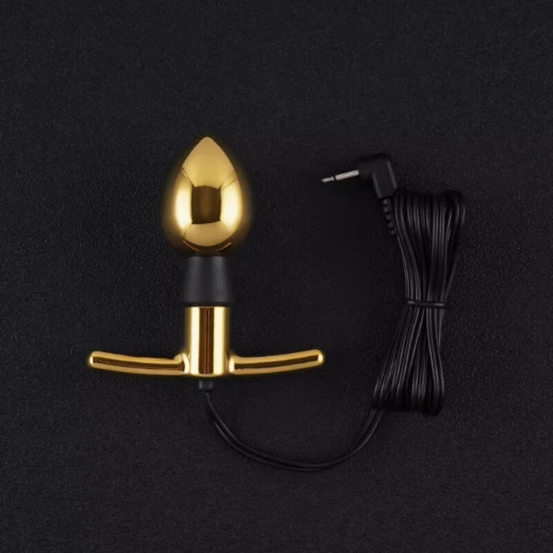 DG-LAB 3.0 “EGG”Metal E Stim Sphincter Prostate Massage Stimulati