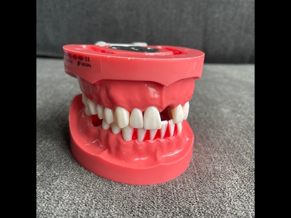 Dental Implant Dentoform (Used in Simulation Lab)