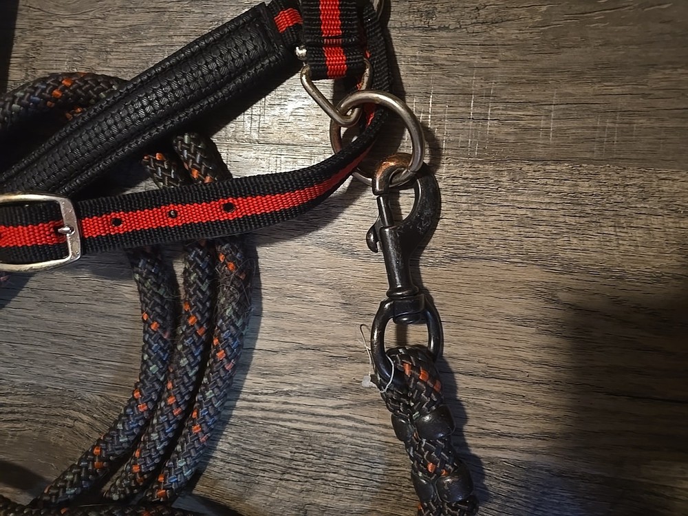 Horse Halter And Lead