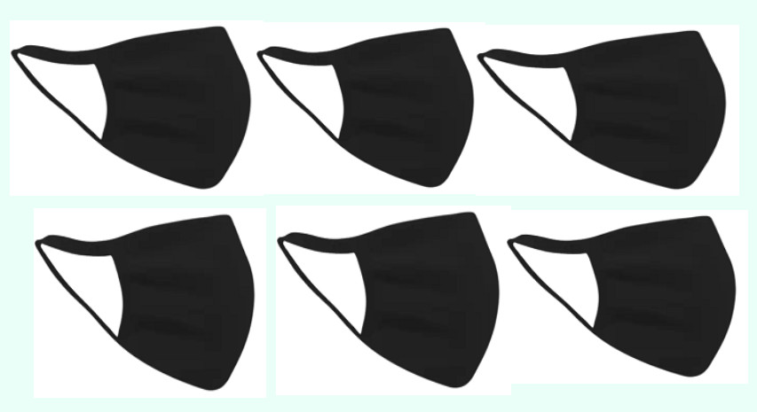 6 pcs Pack Cloth  mask