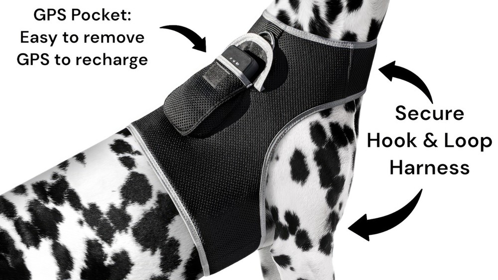iTrackPET MINI GPS Dog Tracking and Training Collar Device