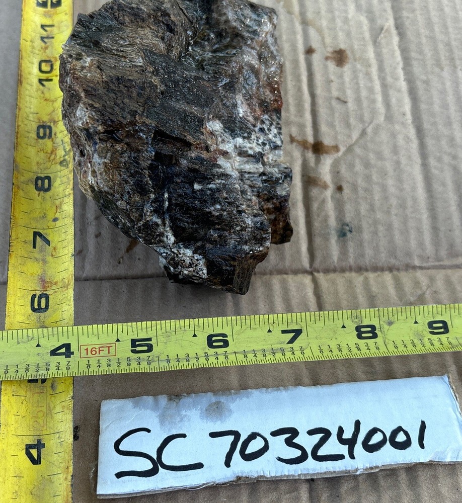 Silver Creek Junction petrified wood