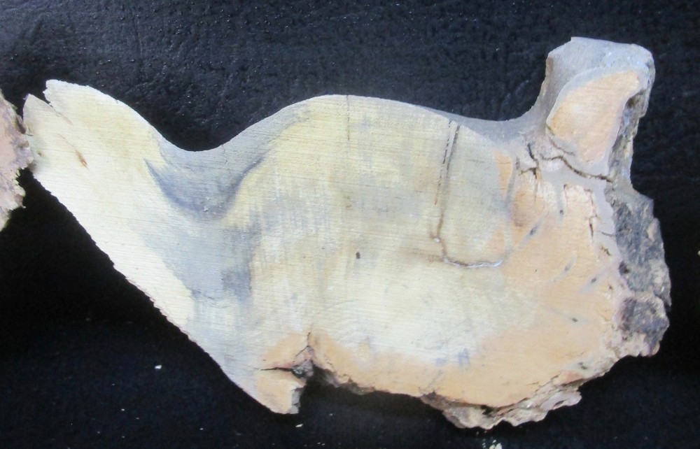 3pc Buckeye Burl slabs/cut offs #D558 assorted sizes