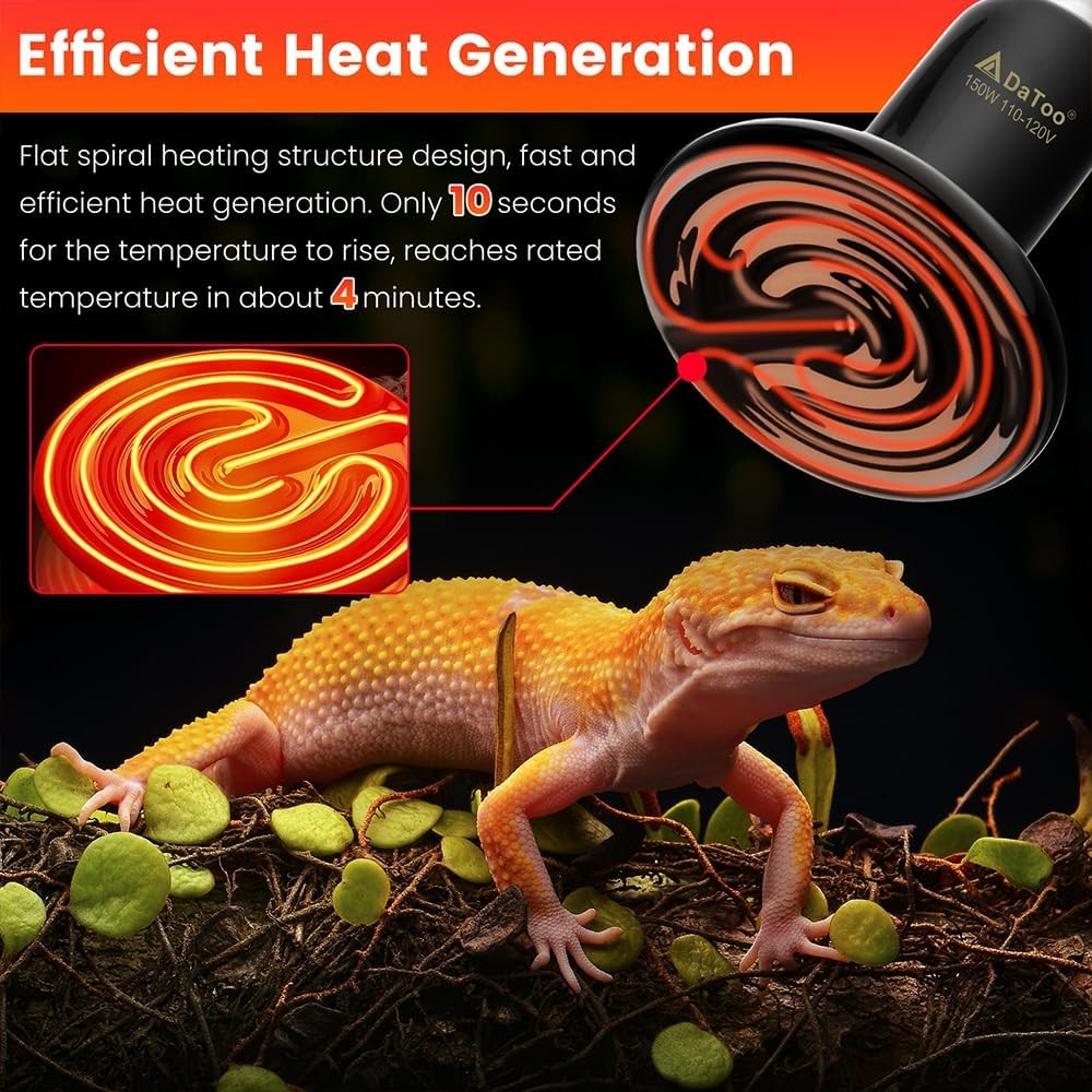 Rechargeable LED Neck Reading Light Book Light