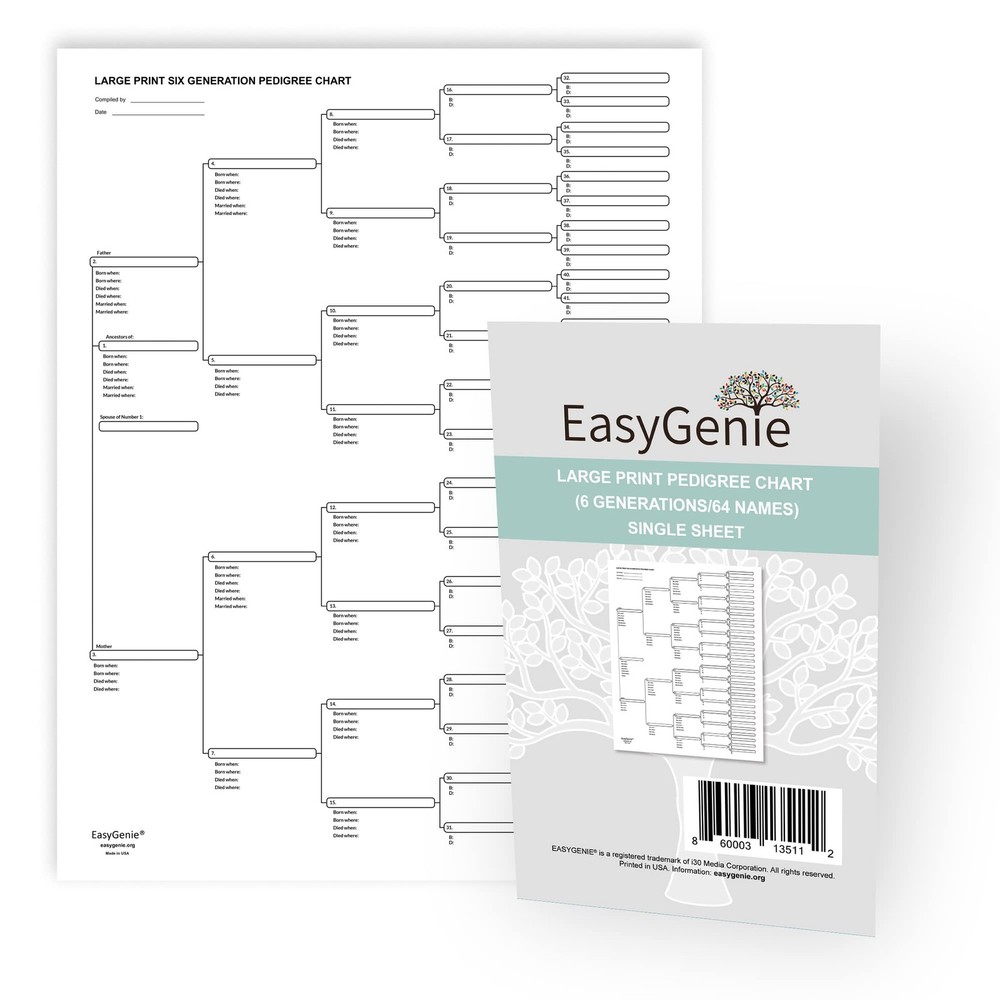 Large Print Blank Pedigree Chart 6 Generation Genealogy Form