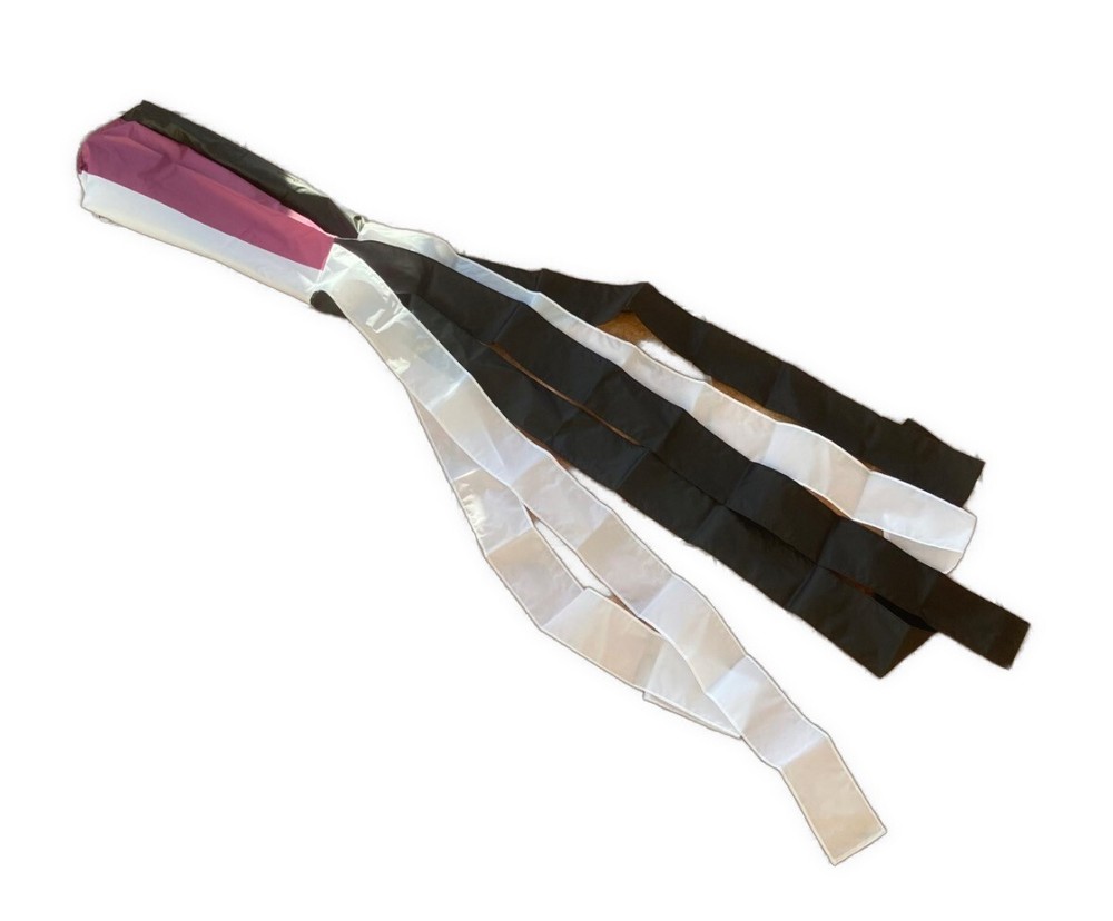 Asexual LGBTQ+ Pride 60inch Nylon Windsock