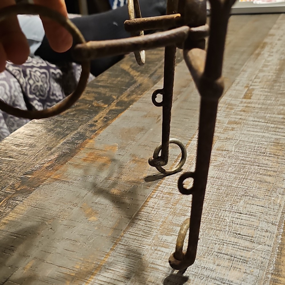 Horse Driving Bit with Check Rings