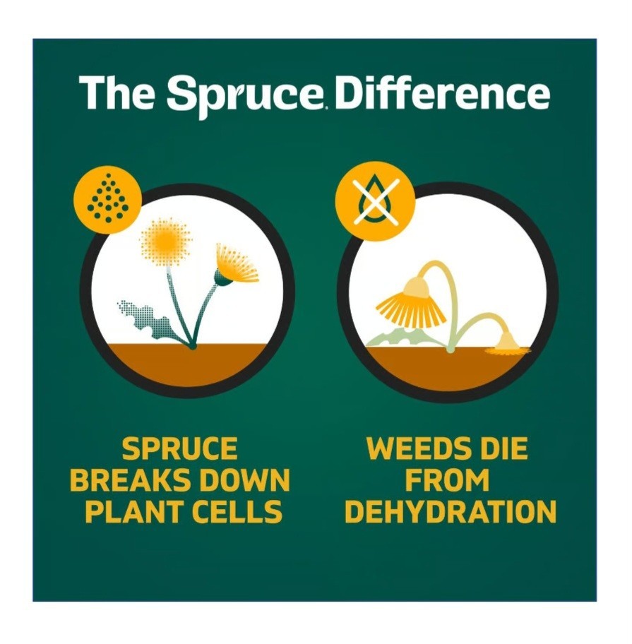 Spruce Snap & Spray Weed & Grass Killer - 64oz each