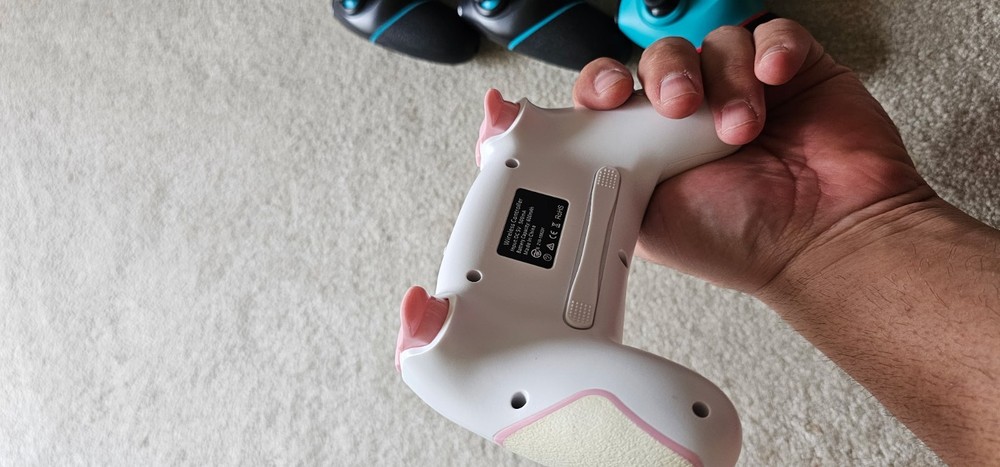 Wireless Ninetendo Switch Controllers