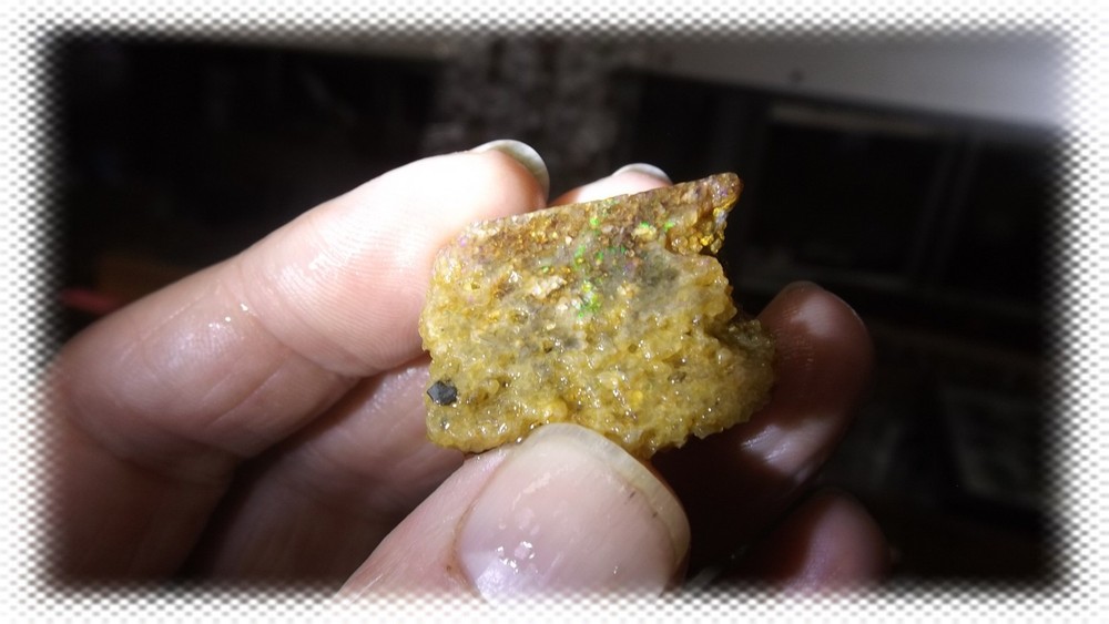 64cts Louisiana Opal Rough Specimen