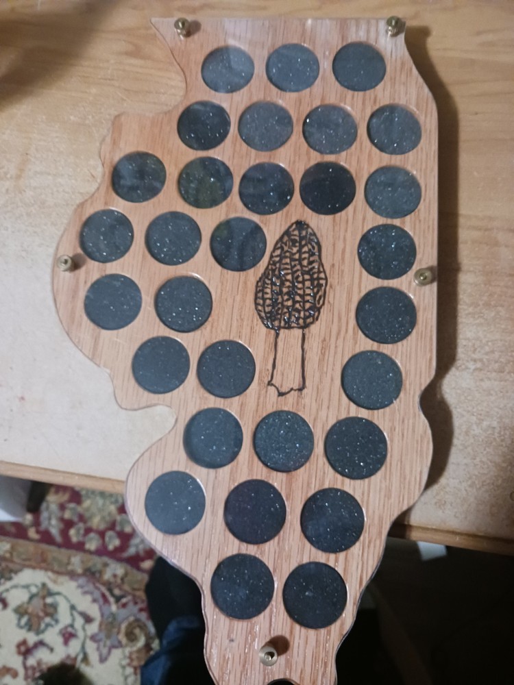 Illinois Mushroom Pin Holder