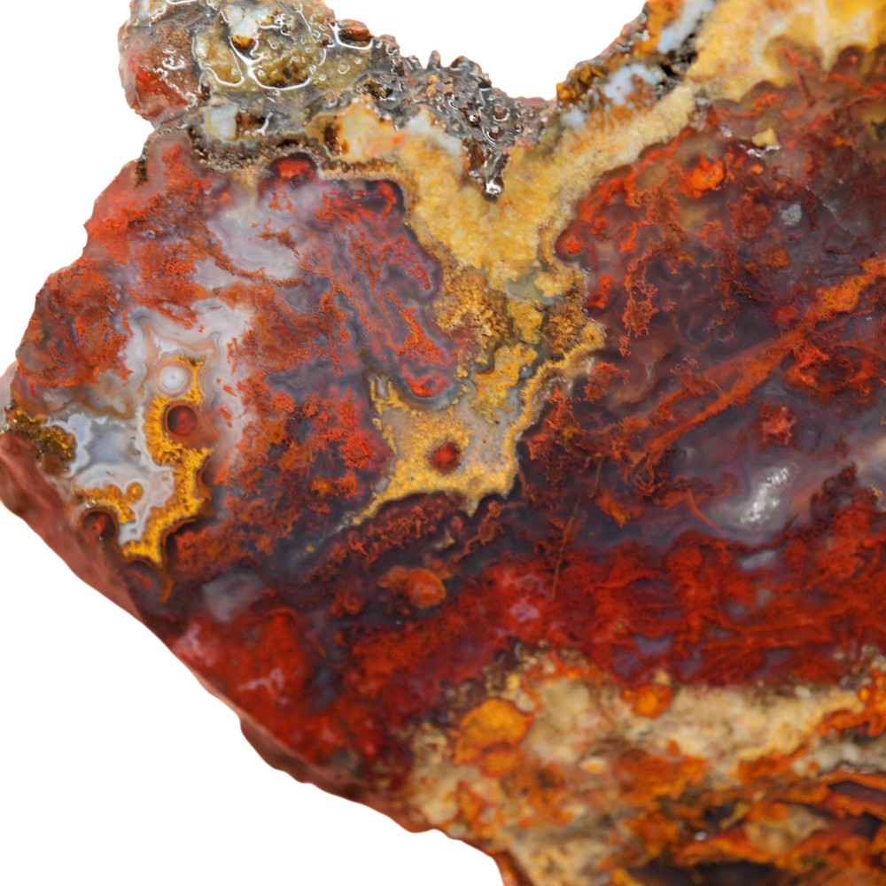 San Carlos Agate Slab - Red Moss with Blue Agate